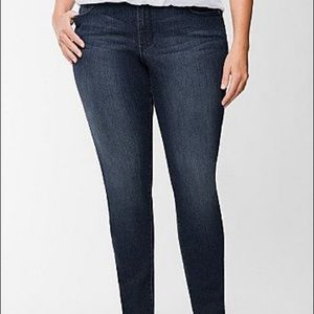 Lane Bryant Genius Fit Skinny Jeans Petite